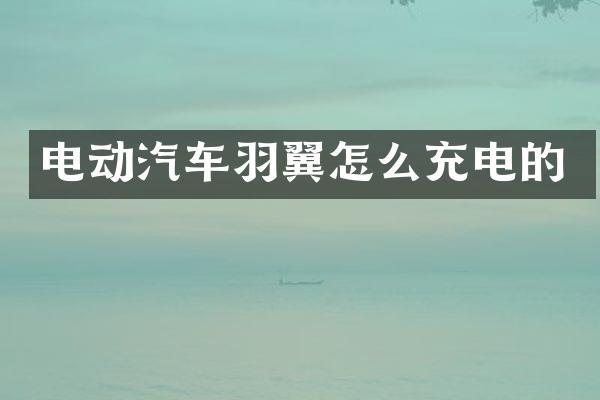 电动汽车羽翼怎么充电的