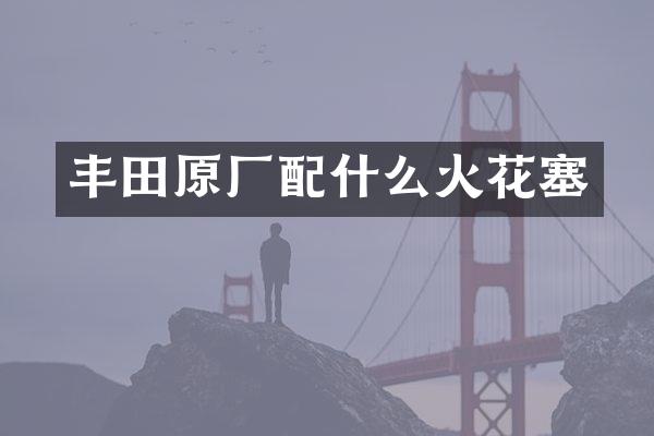 丰田原厂配什么火花塞