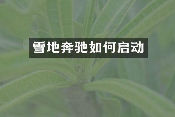 雪地奔驰如何启动