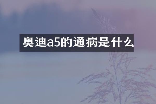 奥迪a5的通病是什么