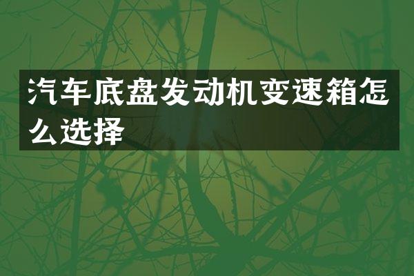 汽车底盘发动机变速箱怎么选择