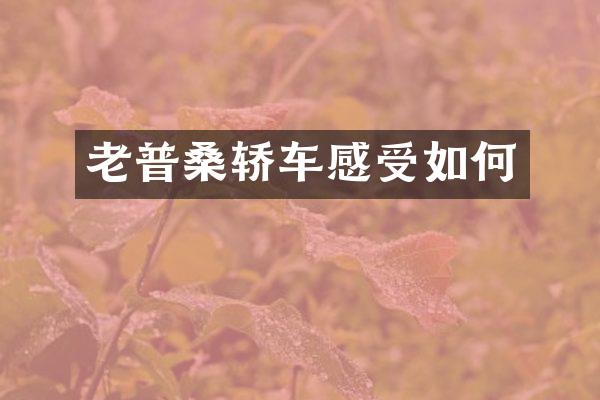 老普桑轿车感受如何
