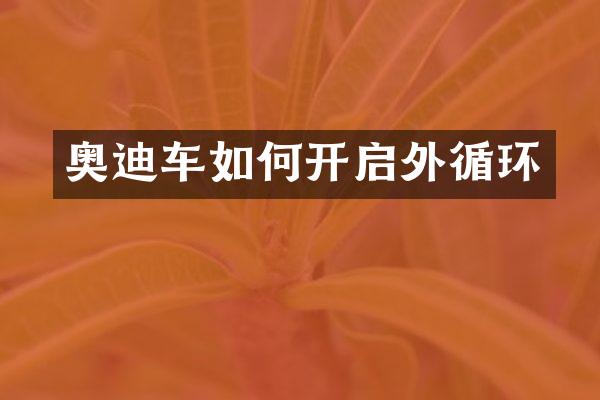 奥迪车如何开启外循环