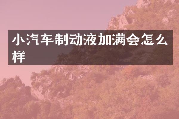 小汽车制动液加满会怎么样