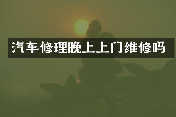 汽车修理晚上上门维修吗