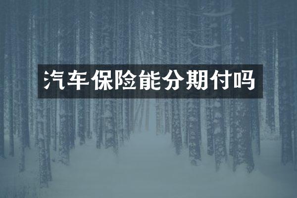 汽车保险能分期付吗