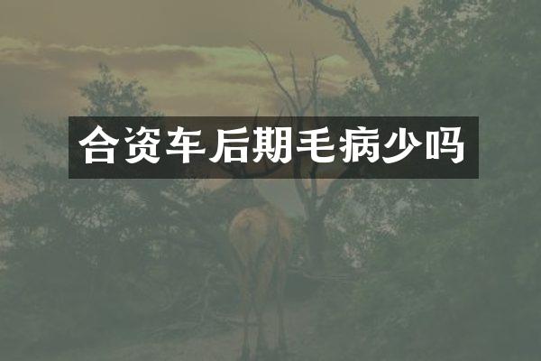 合资车后期毛病少吗