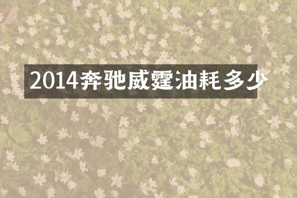 2014奔驰威霆油耗多少