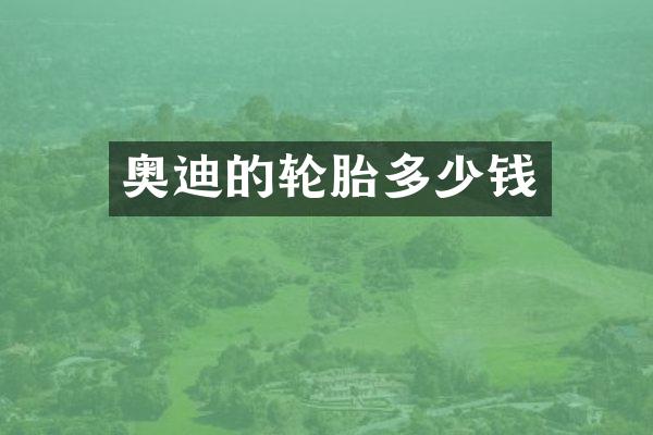 奥迪的轮胎多少钱