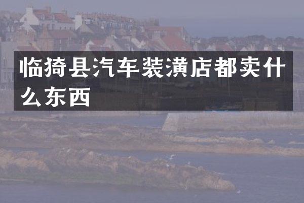 临猗县汽车装潢店都卖什么东西