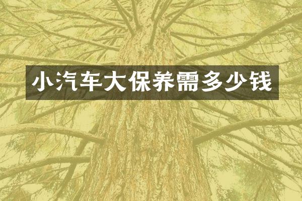 小汽车大保养需多少钱