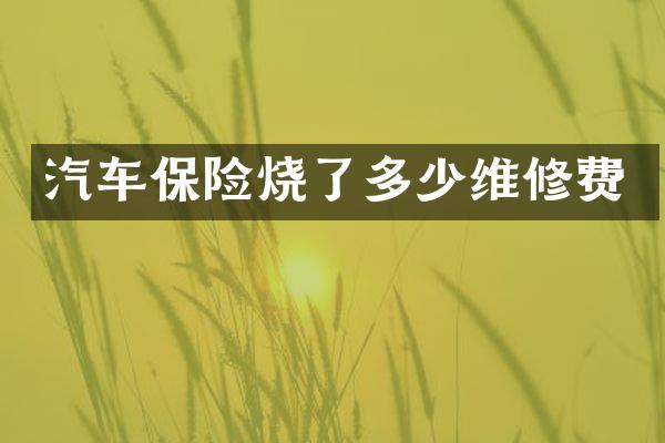 汽车保险烧了多少维修费