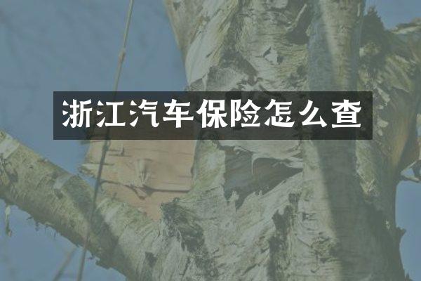 浙江汽车保险怎么查