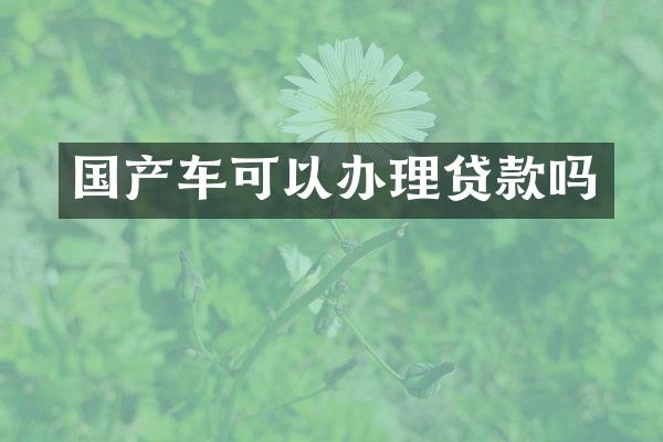 国产车可以办理贷款吗