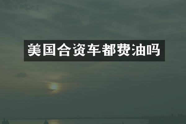 美国合资车都费油吗
