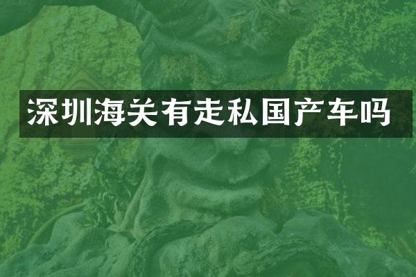 深圳海关有走私国产车吗