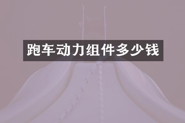 跑车动力组件多少钱