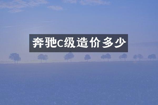 奔驰c级造价多少