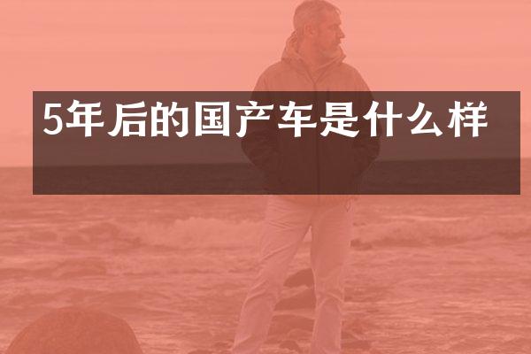 5年后的国产车是什么样的