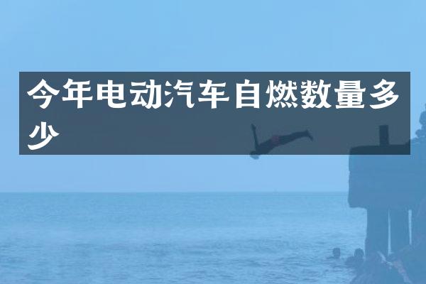 今年电动汽车自燃数量多少