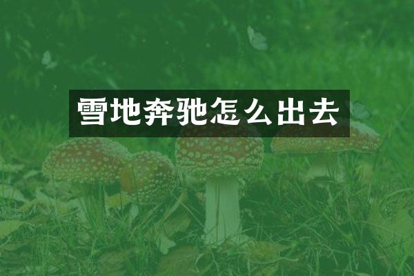 雪地奔驰怎么出去
