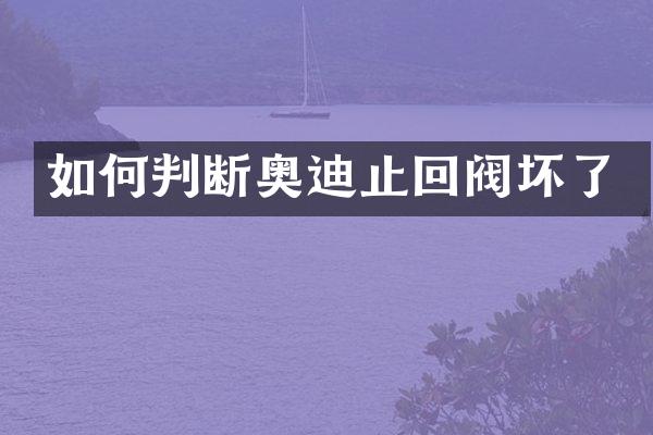 如何判断奥迪止回阀坏了