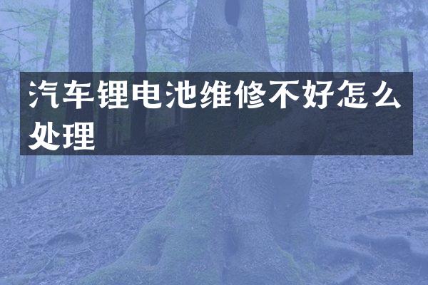 汽车锂电池维修不好怎么处理