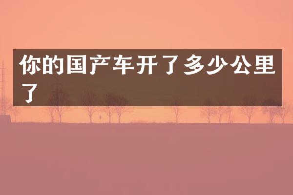 你的国产车开了多少公里了