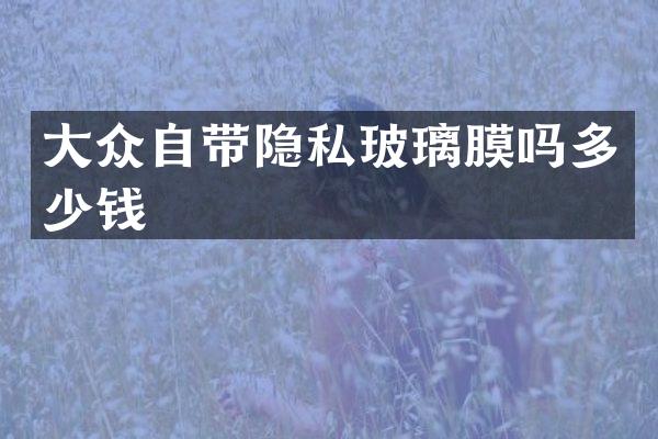 大众自带隐私玻璃膜吗多少钱