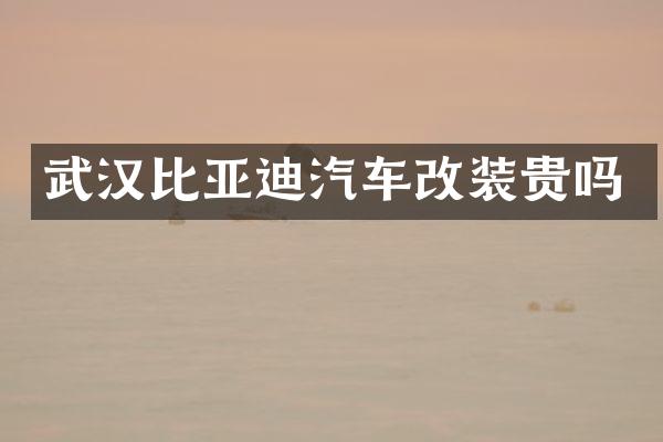 武汉比亚迪汽车改装贵吗