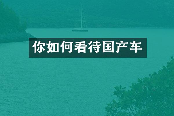 你如何看待国产车