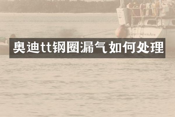 奥迪tt钢圈漏气如何处理