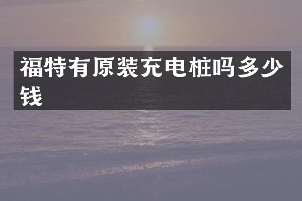 福特有原装充电桩吗多少钱