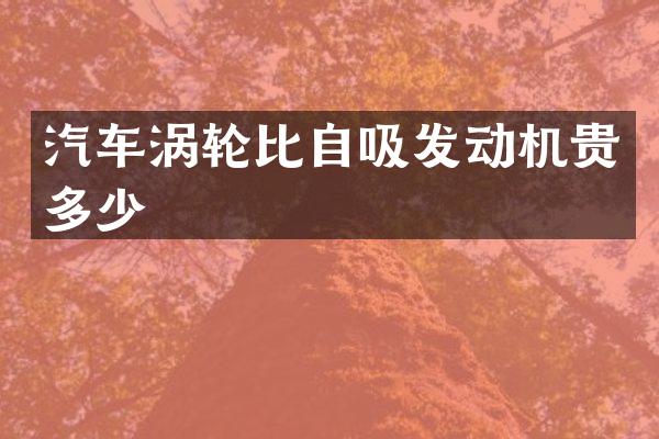 汽车涡轮比自吸发动机贵多少