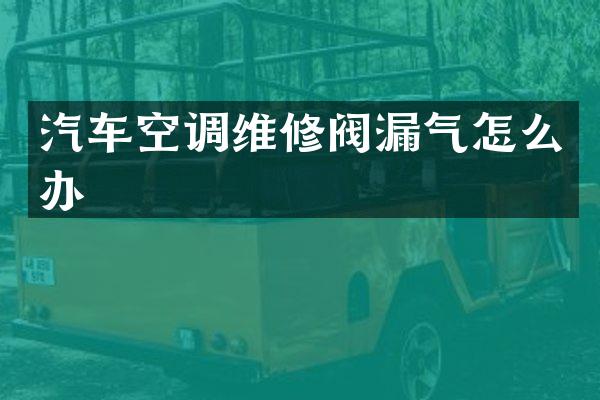 汽车空调维修阀漏气怎么办