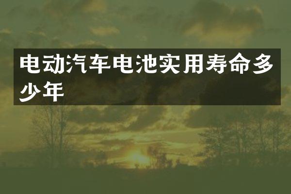 电动汽车电池实用寿命多少年