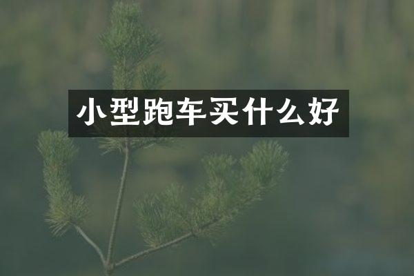 小型跑车买什么好