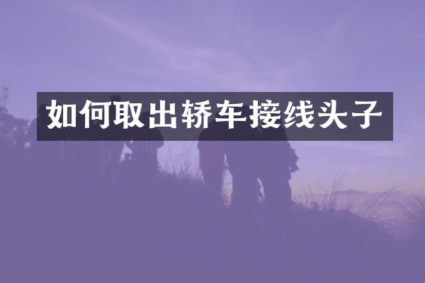 如何取出轿车接线头子