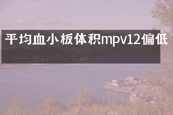 平均血小板体积mpv12偏低吗