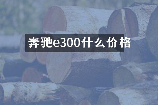 奔驰e300什么价格