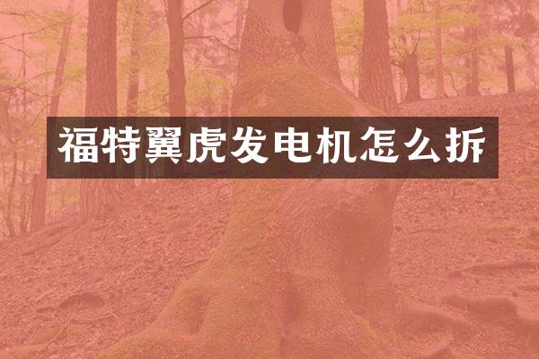 福特翼虎发电机怎么拆