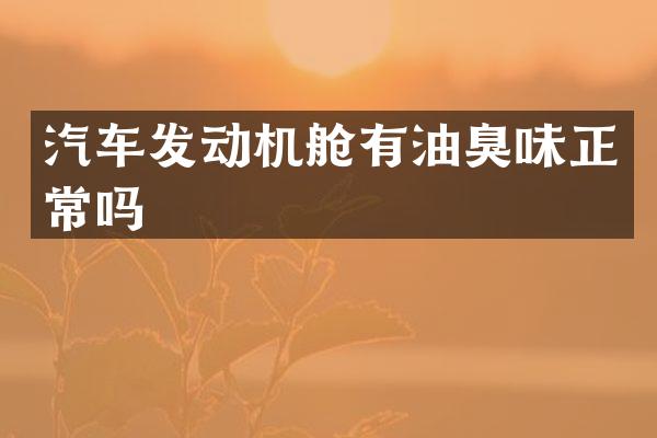 汽车发动机舱有油臭味正常吗