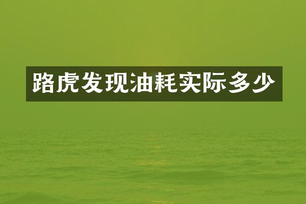 路虎发现油耗实际多少