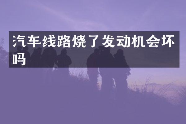 汽车线路烧了发动机会坏吗