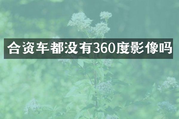 合资车都没有360度影像吗