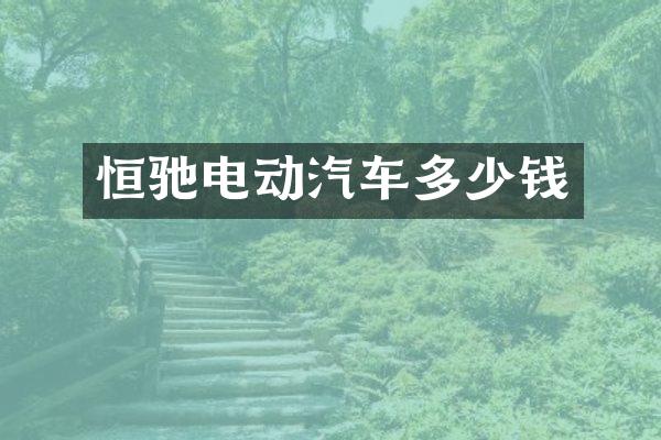 恒驰电动汽车多少钱