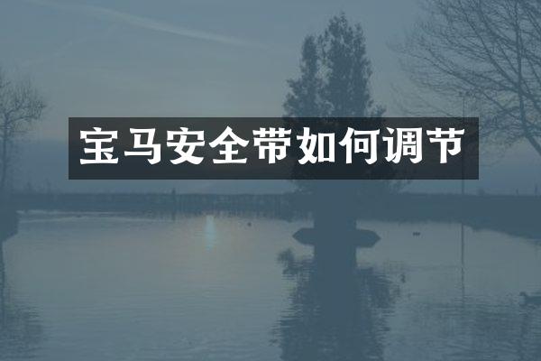 宝马安全带如何调节