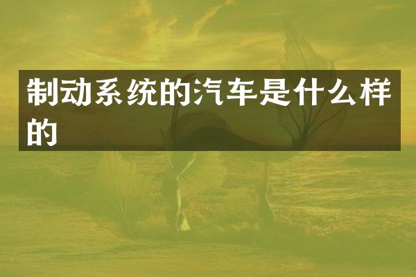制动系统的汽车是什么样的