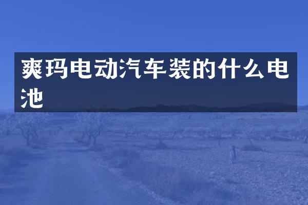 爽玛电动汽车装的什么电池