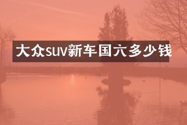 大众suv新车国六多少钱